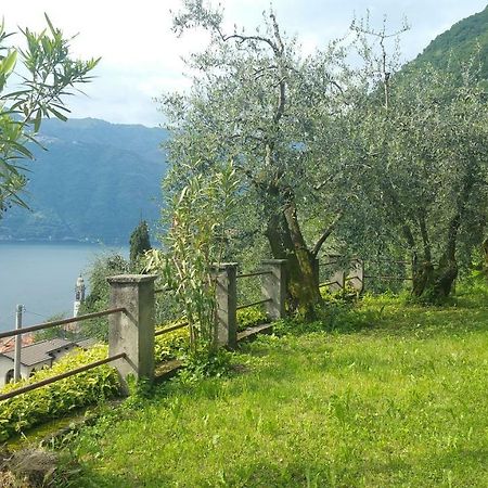 Villa Gli Ulivi di Nesso Esterno foto